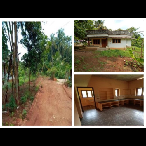 Auction Property