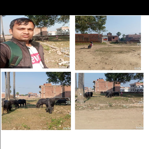 Auction Property